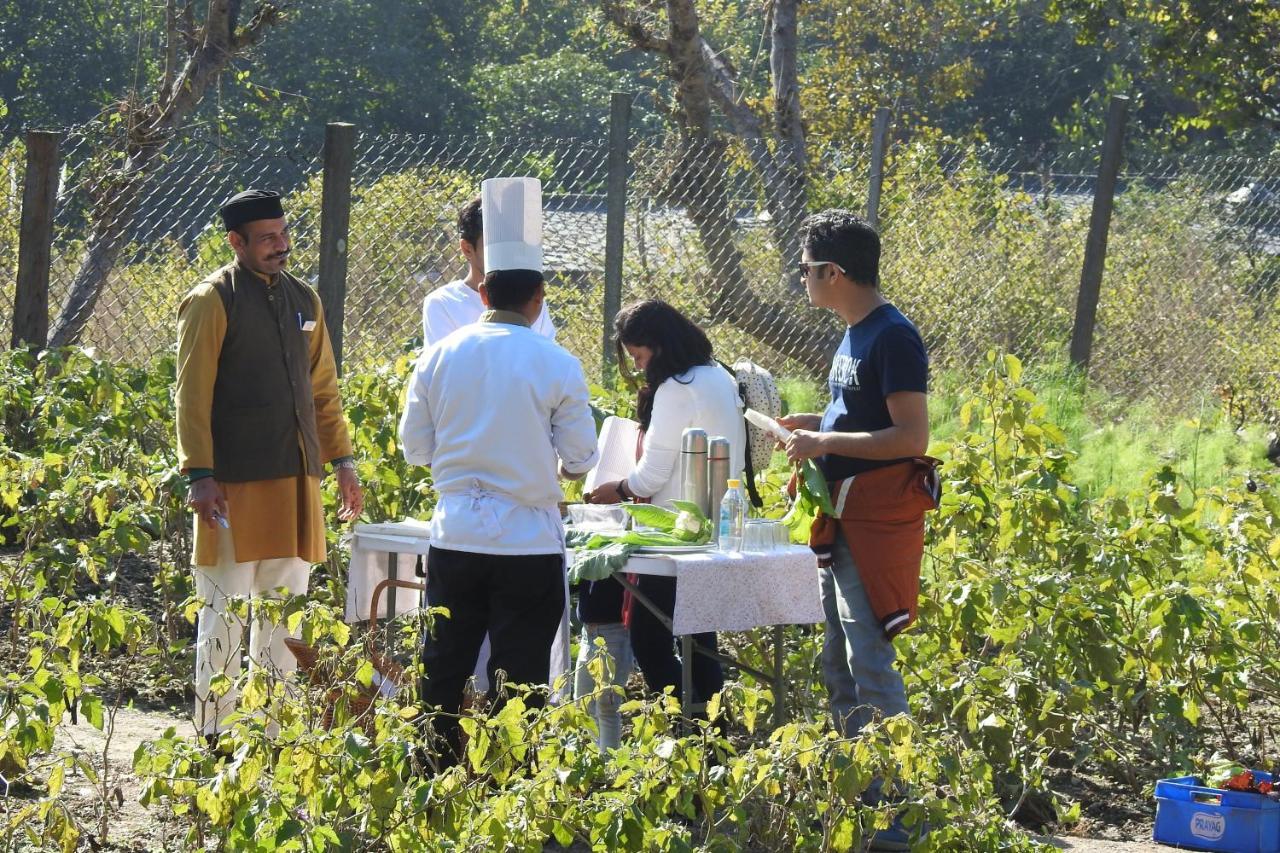 Paatlidun Safari Lodge, Jim Corbett Garjia Buitenkant foto